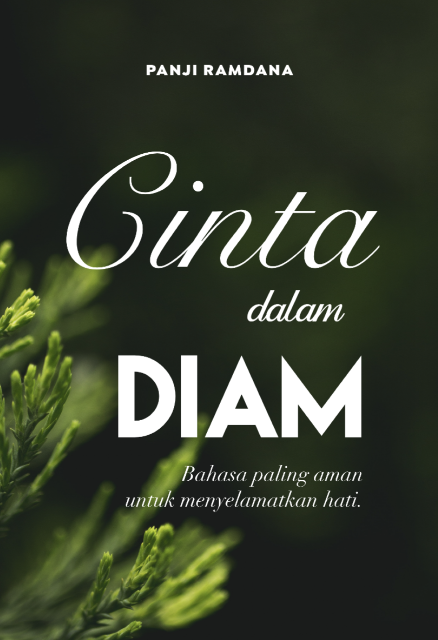 Cinta dalam Diam 2